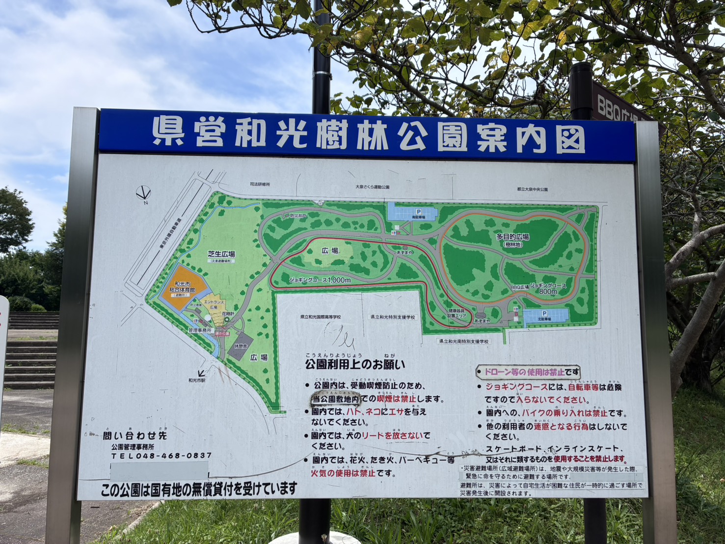 和光樹林公園（愛称：エミパーク和光樹林）