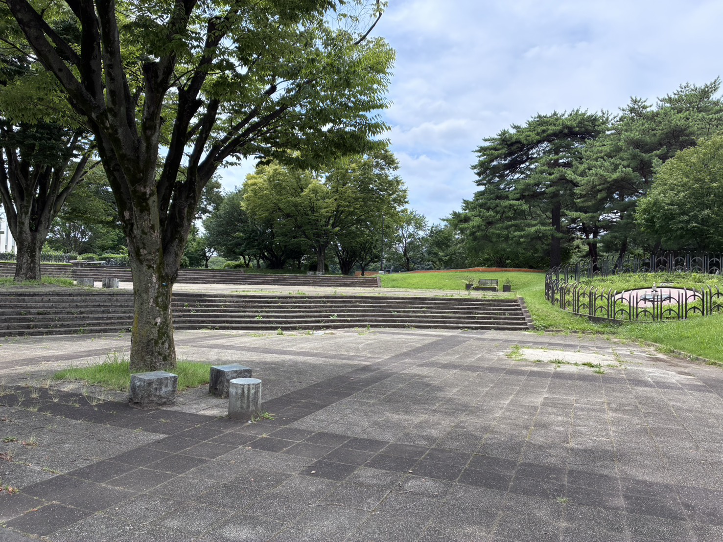 和光樹林公園（愛称：エミパーク和光樹林）