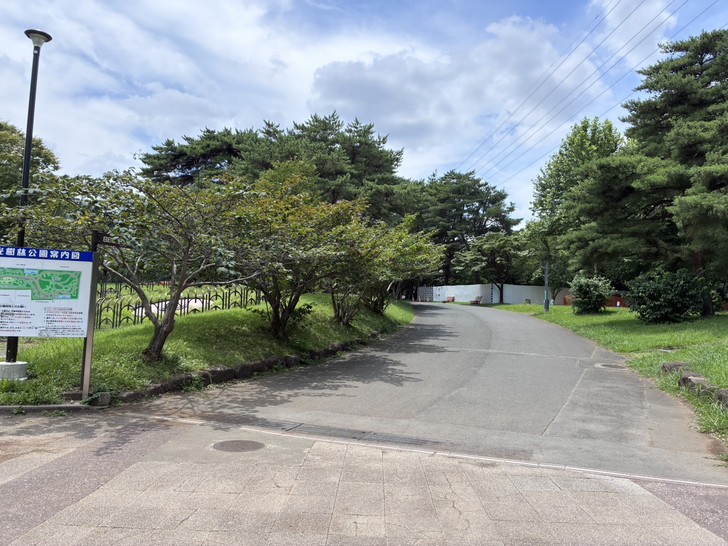 和光樹林公園（愛称：エミパーク和光樹林）
