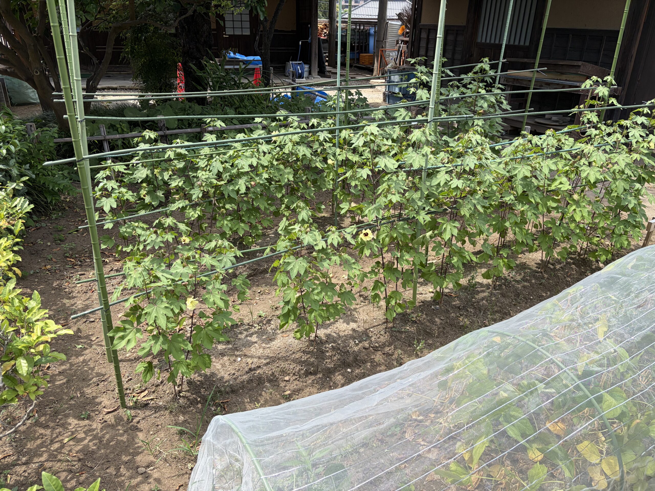 新倉ふるさと民家園
